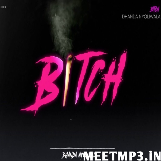 Bitch - Dhanda Nyoliwala-(MeetMp3.In).mp3
