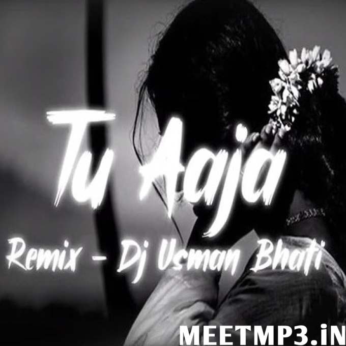 Mera Dil Ye Pukare Aaja (Remix) DJ Usman Bhatti-(MeetMp3.In).mp3