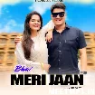 Bhai Meri Jaan