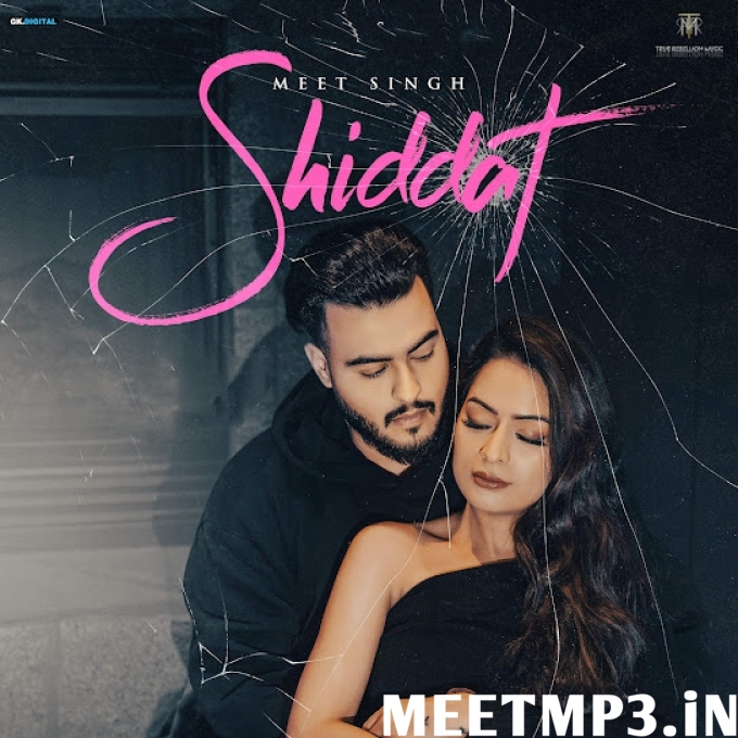 Shiddat-(MeetMp3.In).mp3