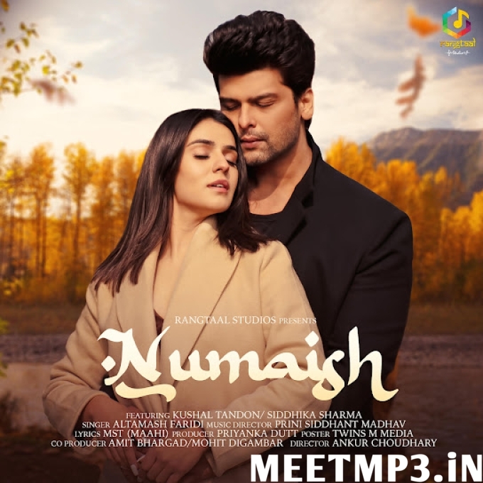 Numaish - Altamash Faridi-(MeetMp3.In).mp3