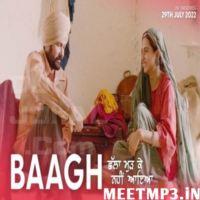 Baagh Amrinder Gill-(MeetMp3.In).mp3