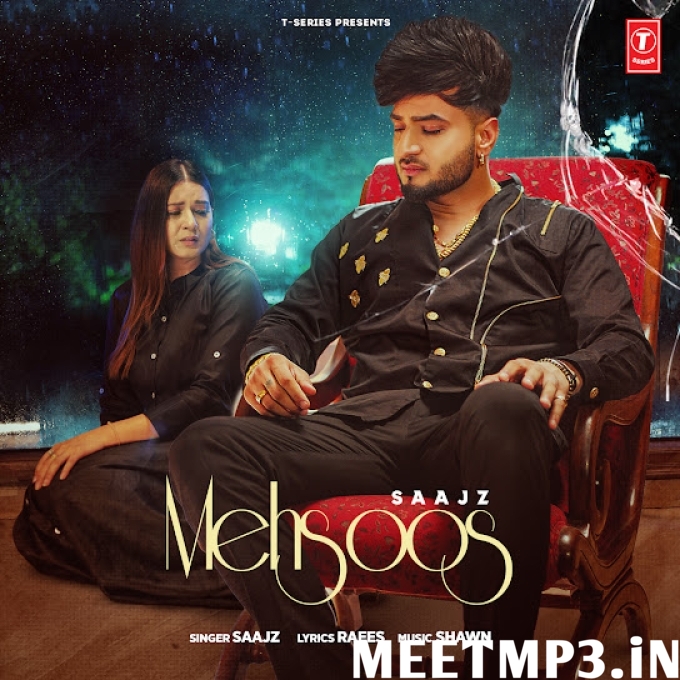 Mehsoos Saajz-(MeetMp3.In).mp3