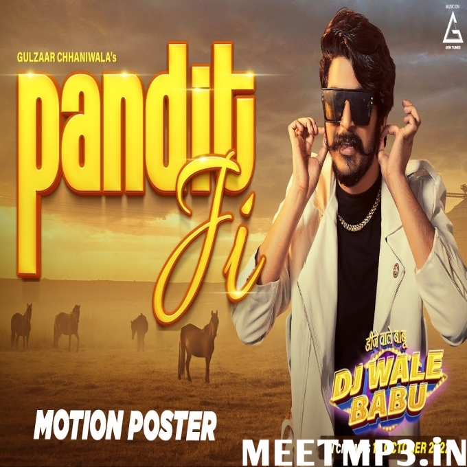 Pandit Ji-(MeetMp3.In).mp3